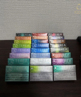 日本 teres 加熱菸